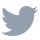 Footer Twitter
